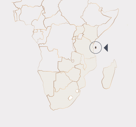 Africa Map - Zanzibar