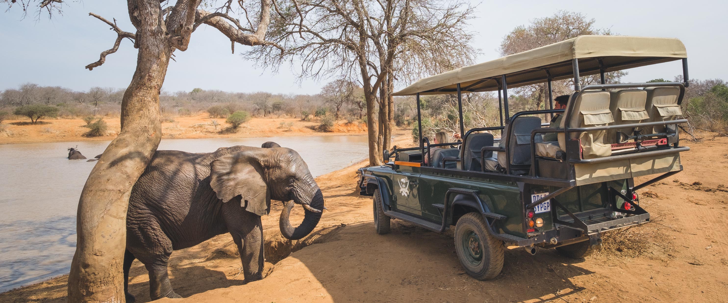 ADORE Africa Safari Guide