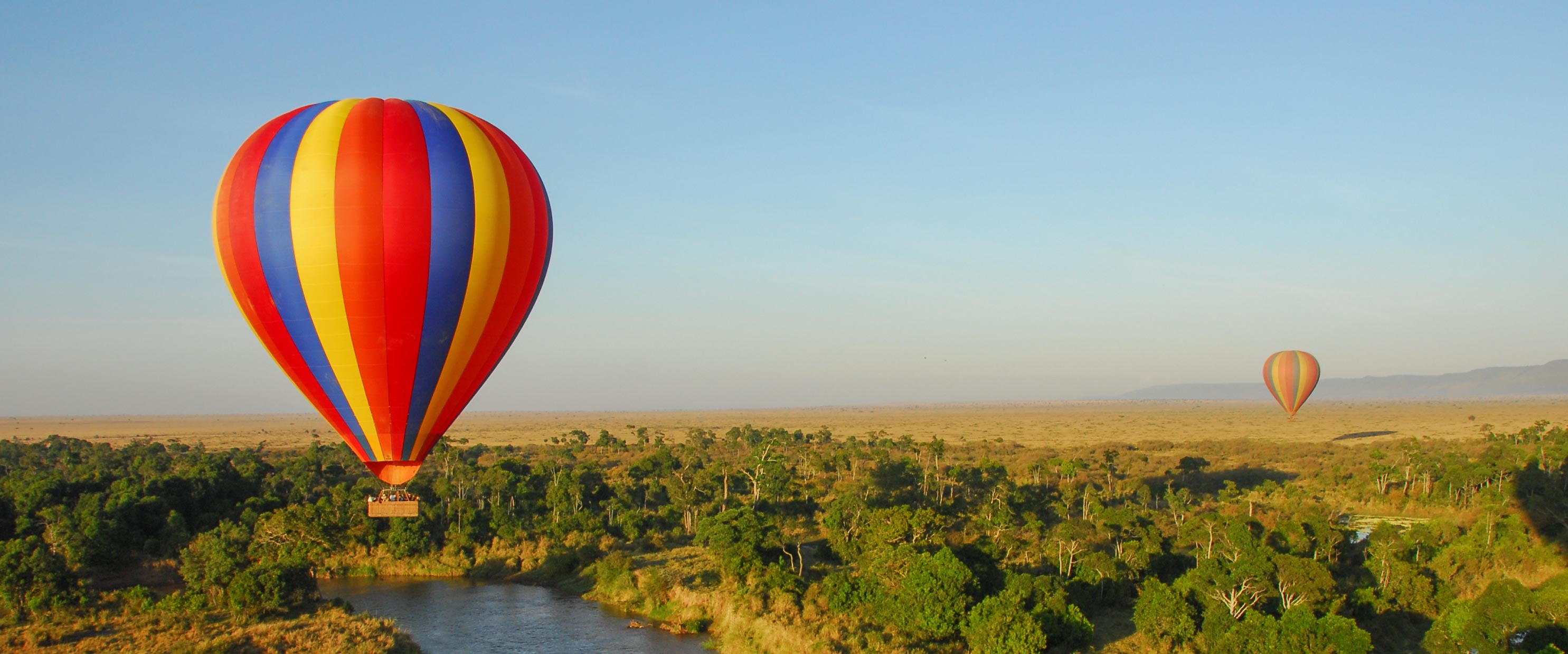 ADORE Africa Safari Guide